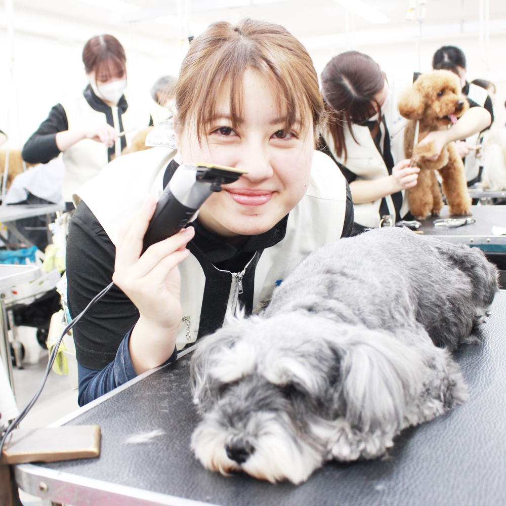 お客様の愛犬、うとうとシリーズ！